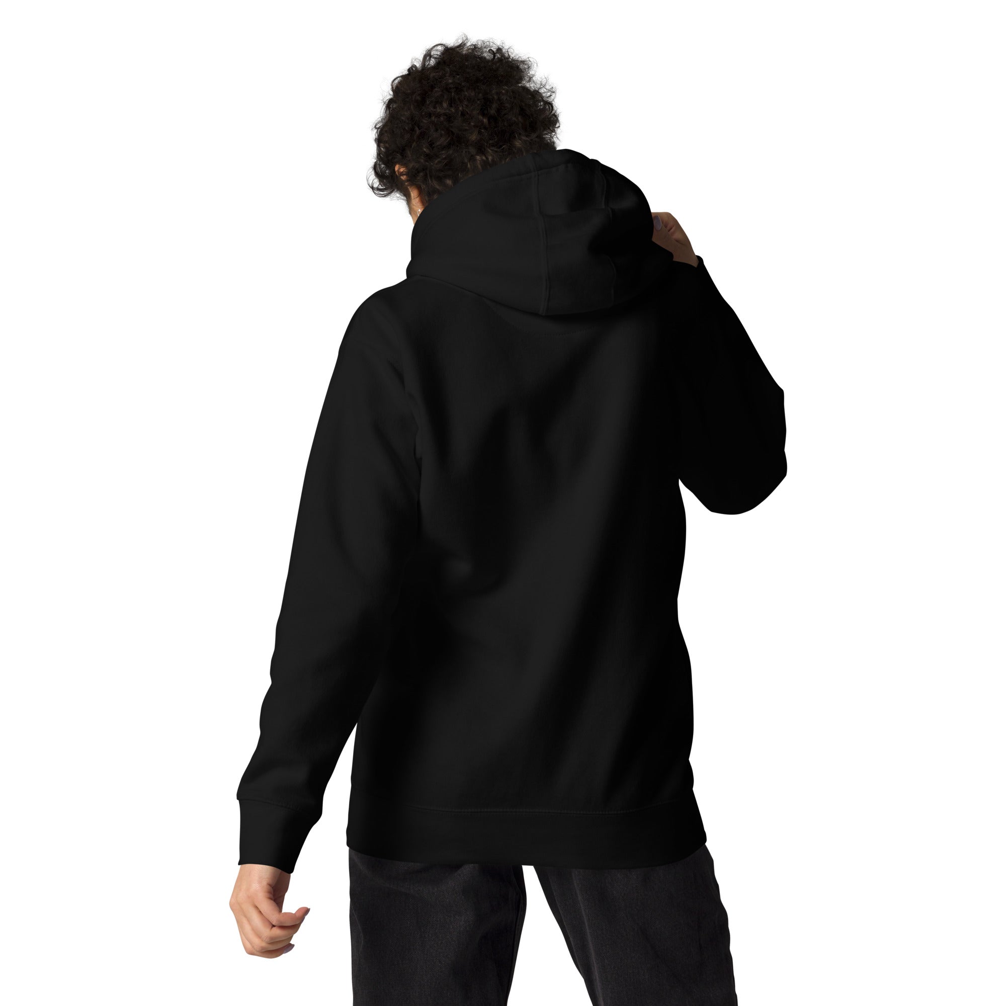 Up and Down Premium Unisex Hoodie – Inspirational Streetwear, Ultra - Soft Cotton Blend, Bold Front Graphic, Everyday Comfort, and Sustainable Made - to - Order Fashion - Soul Vibe Merch