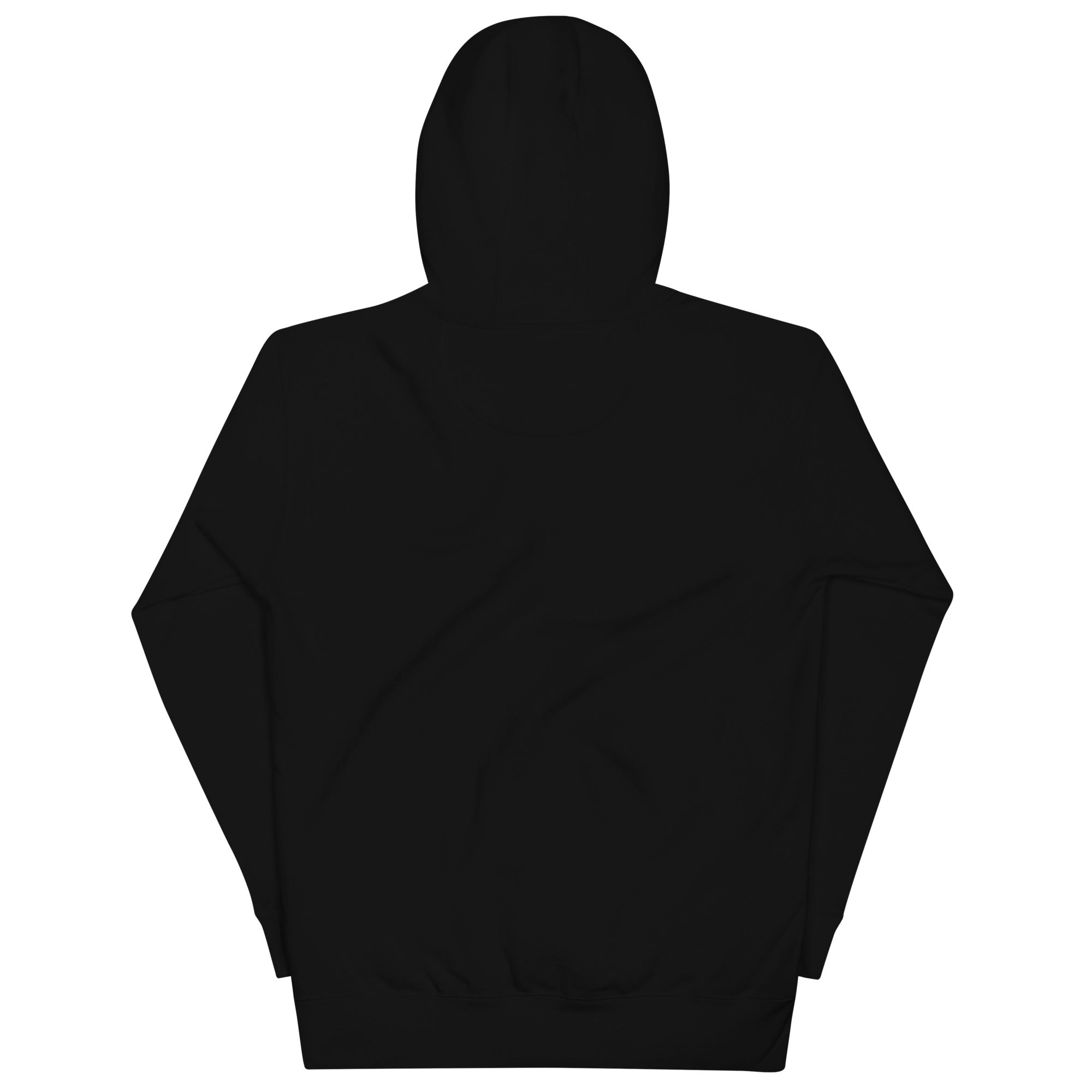 Up and Down Premium Unisex Hoodie – Inspirational Streetwear, Ultra - Soft Cotton Blend, Bold Front Graphic, Everyday Comfort, and Sustainable Made - to - Order Fashion - Soul Vibe Merch